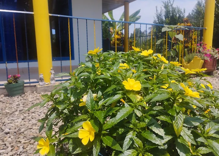 Finca En Vergara \