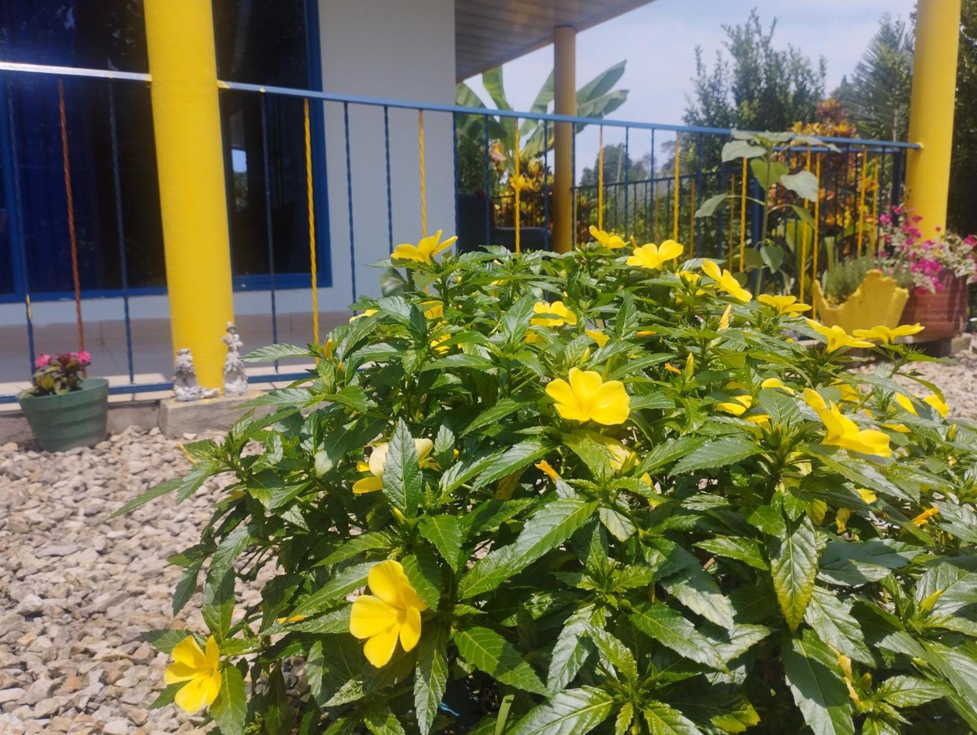 Hébergement de vacances En 